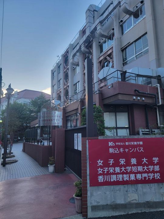 加藤ハイムの周辺