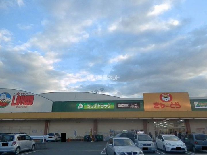 コスモハイツの周辺