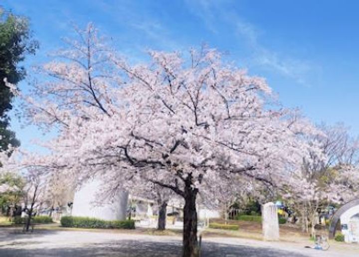石湘ハイツの周辺