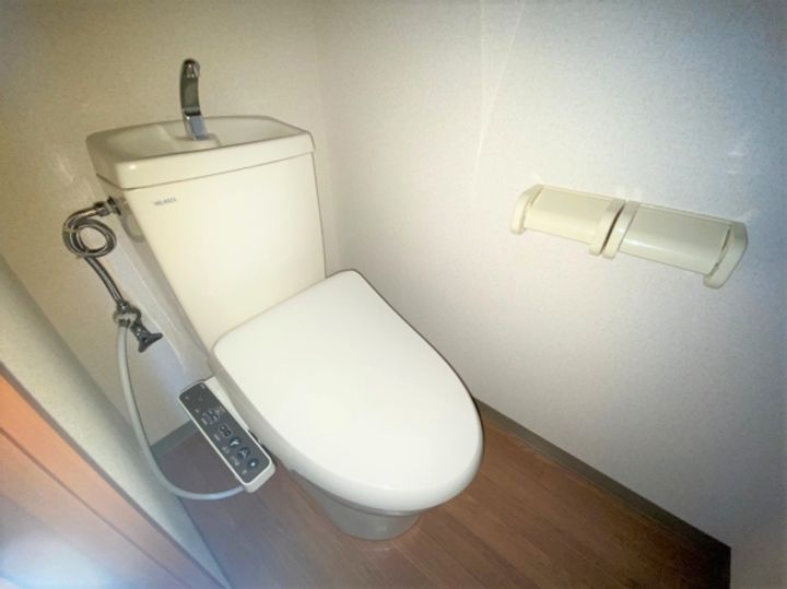 シルクホースの内装