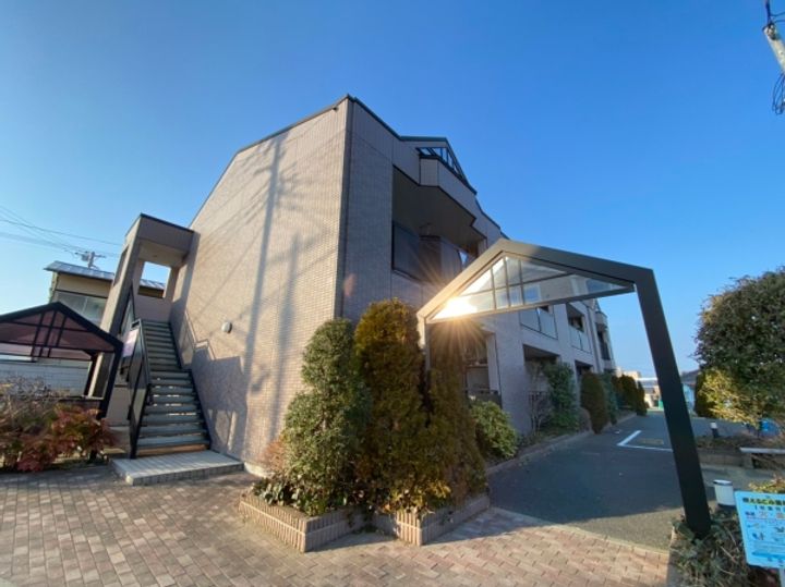 シルクホースの外観