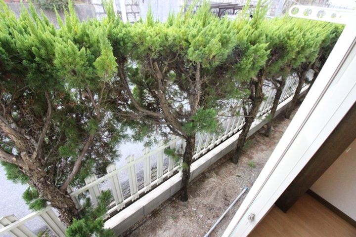 グリーンパレス京山B棟の内装