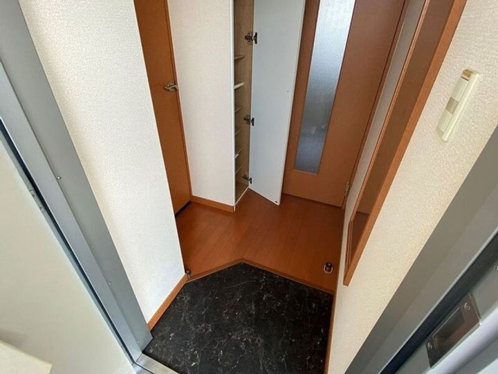 レオパレスアゼリアカーサの玄関