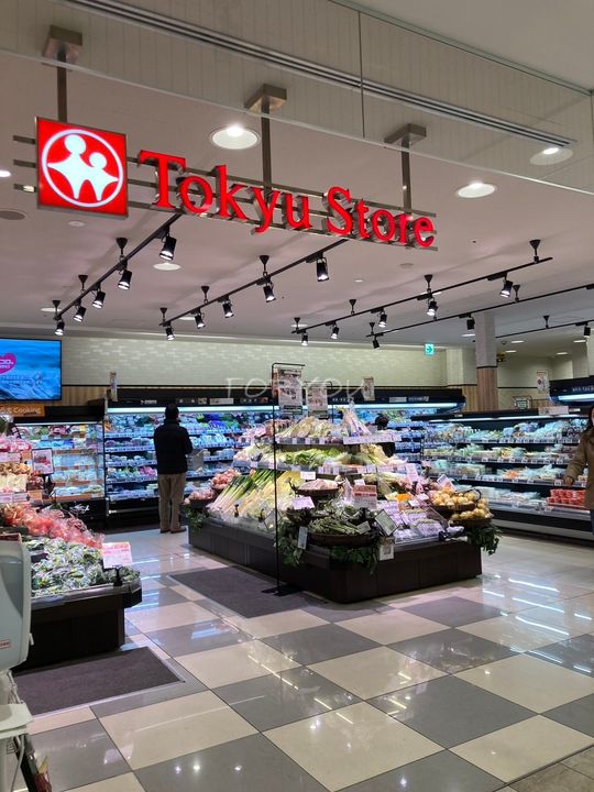 藤和シティホームズ武蔵小山駅前の周辺