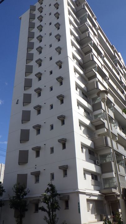 大阪府大阪市平野区平野南3(一戸建)の賃貸物件の外観