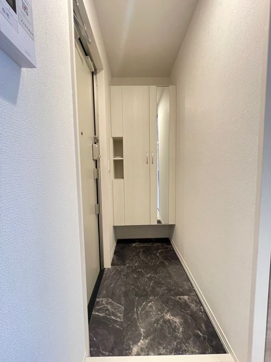 神奈川県藤沢市藤沢(アパート)の賃貸物件の玄関