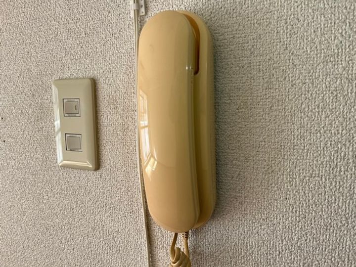 BAUHAUS十日市(旧:井隅ビル)の内装