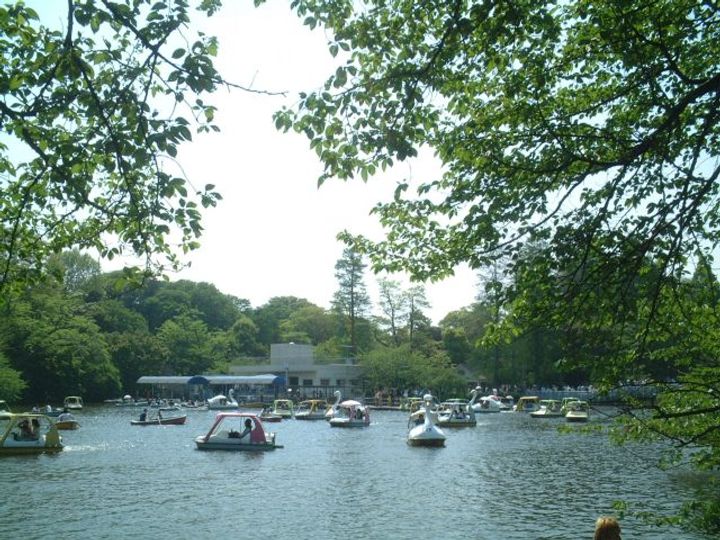 緑樹館の周辺