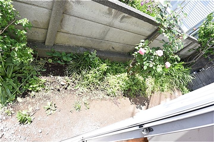 神奈川県藤沢市西富(一戸建)の賃貸物件の内装