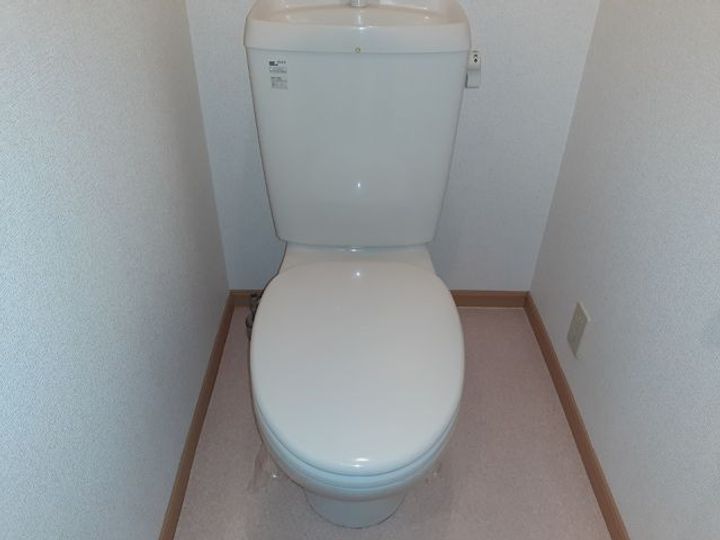 大阪府大阪狭山市茱萸木3(マンション)の賃貸物件の内装