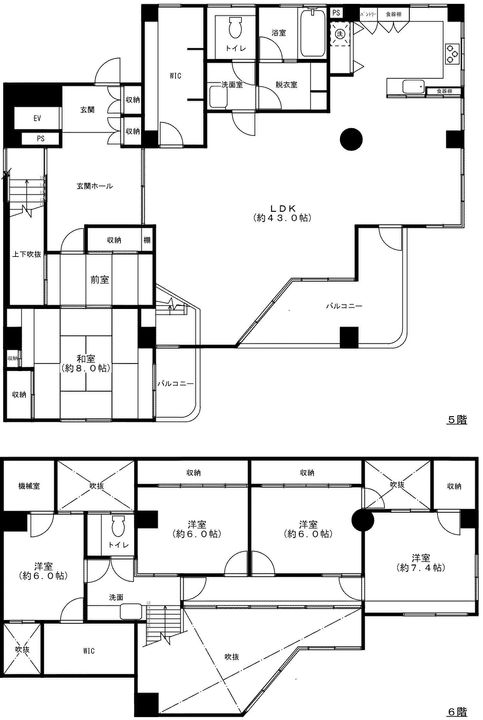 メゾンマロニエの間取り