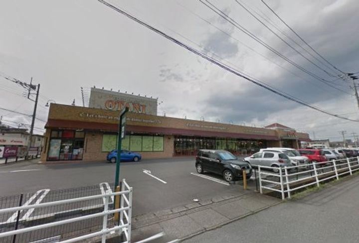 栃木県宇都宮市平松本町(一戸建)の賃貸物件の周辺