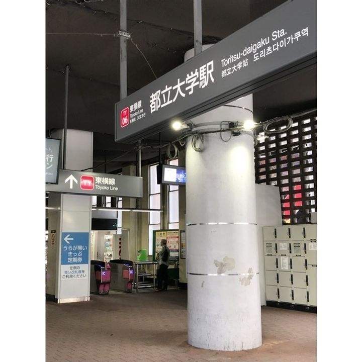 メゾンピオニー都立大学の周辺