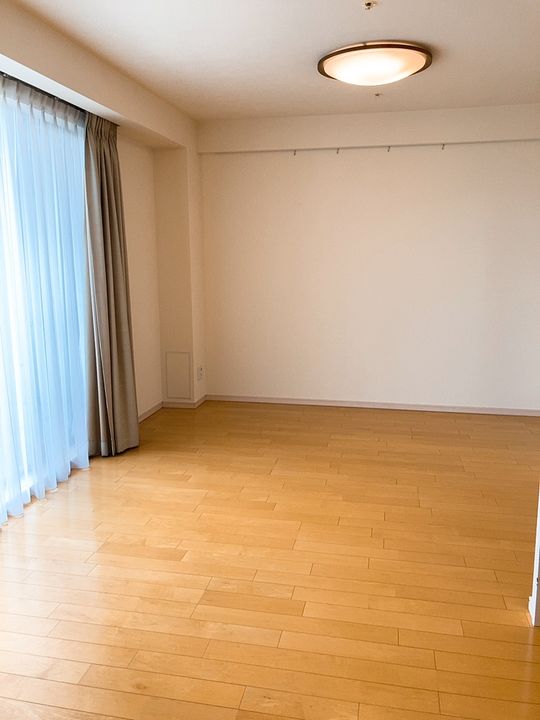 ヴィナシス金町タワーレジデンスの居間