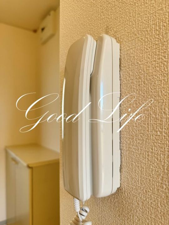 兵庫県小野市神明町(アパート)の賃貸物件の内装