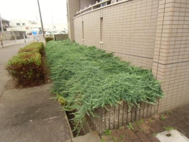 ラフィネ清華の内装