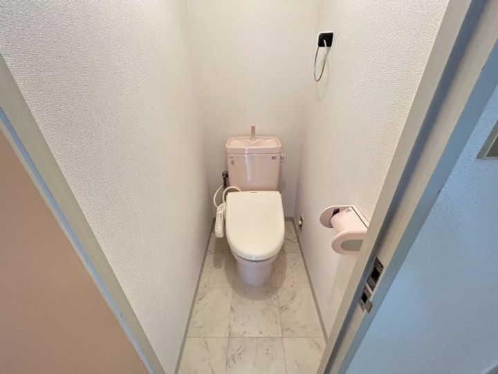 大阪府高槻市松川町(マンション)の賃貸物件の内装