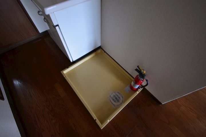 will 鴨宮aのその他画像