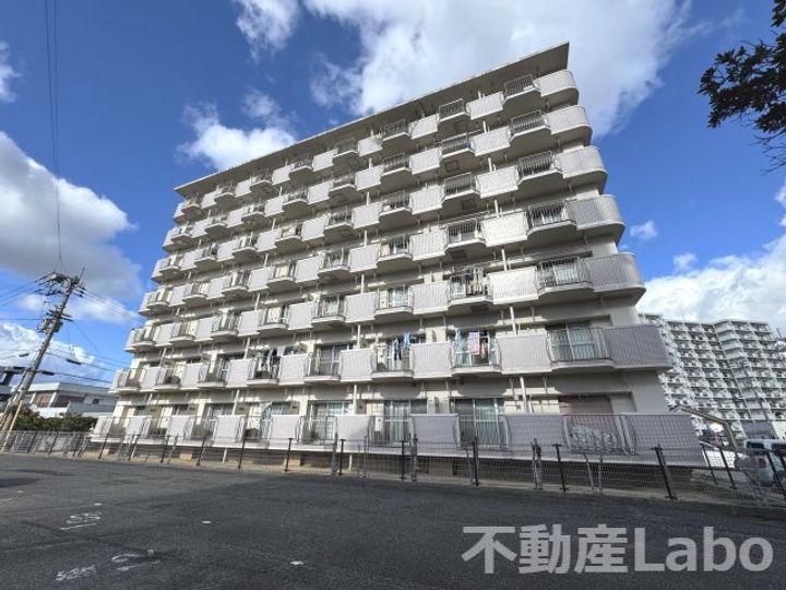 徳島県徳島市川内町金岡(マンション)の賃貸物件の外観