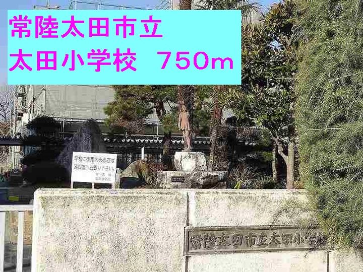 パインヒルズの周辺