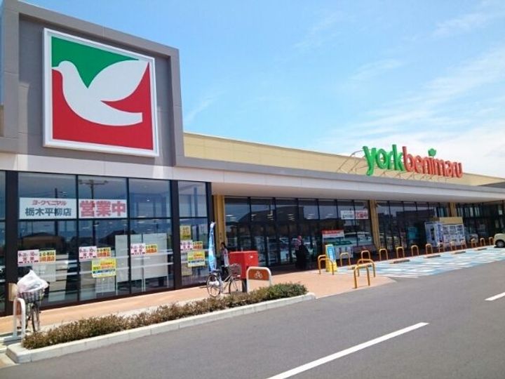 栃木県栃木市大宮町(アパート)の賃貸物件の周辺