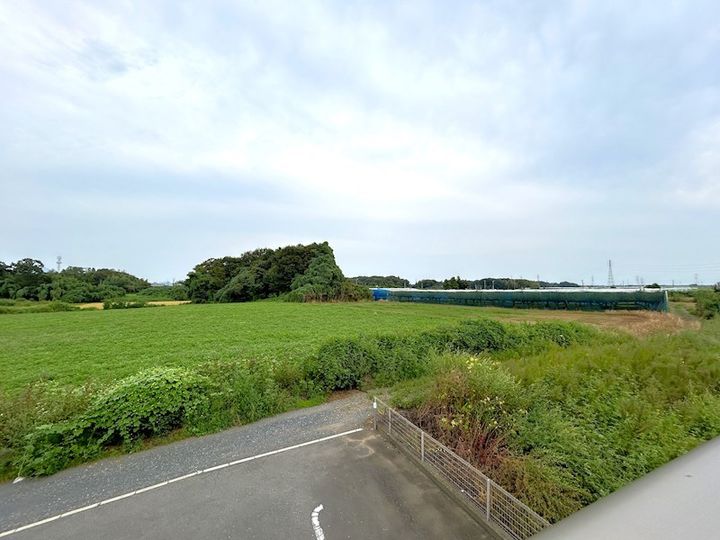 Himawariのその他画像