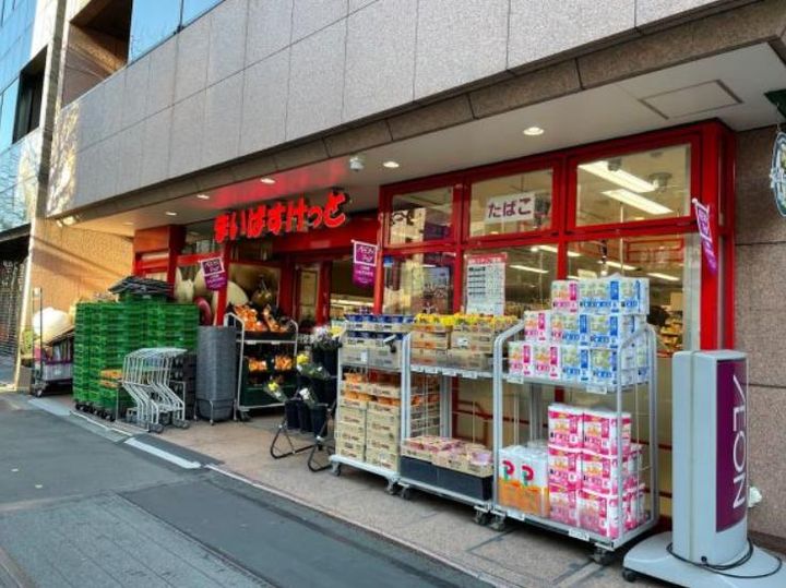 東京都中央区築地6(マンション)の賃貸物件の周辺
