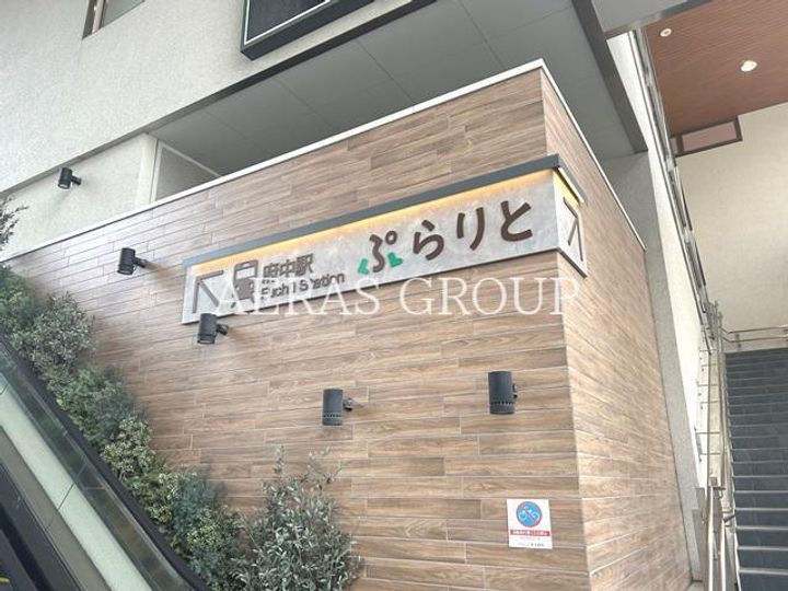 エルセレッソの周辺