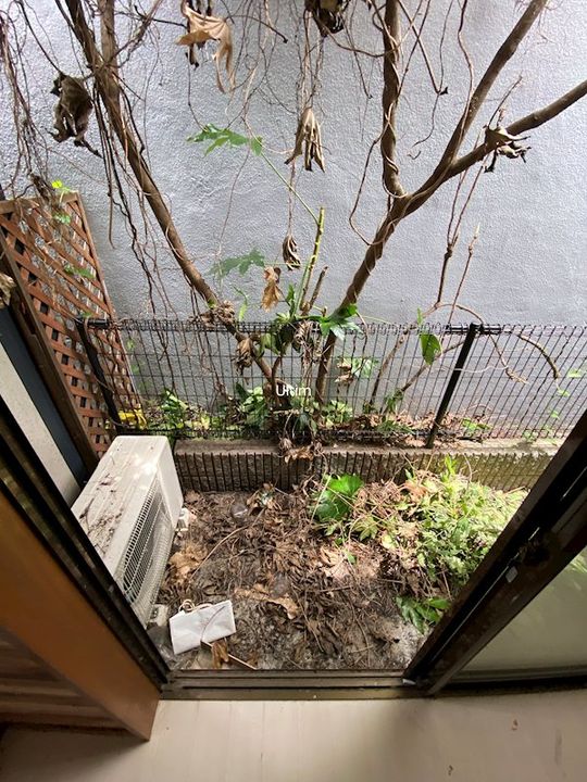 アスターナ京の袋小路長屋のその他画像