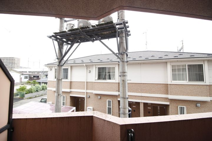 グランデハクタカのその他画像