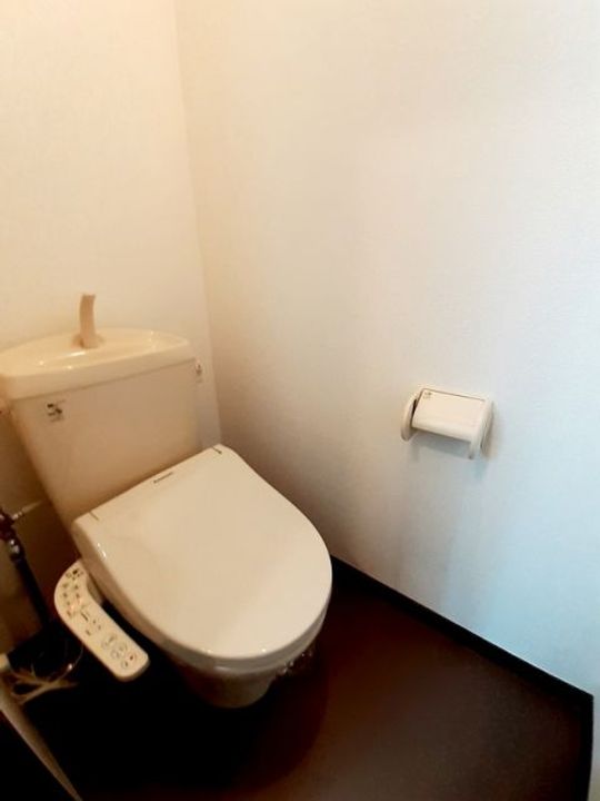 埼玉県入間市大字仏子(アパート)の賃貸物件の内装