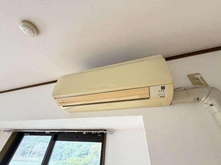 ステラkoiの内装