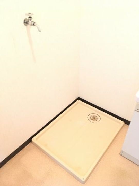 埼玉県比企郡小川町大字小川(マンション)の賃貸物件の内装