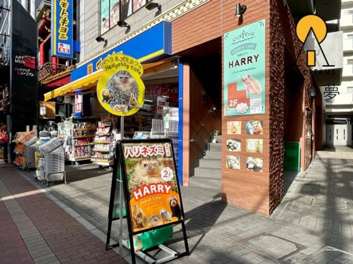 ライオンズプラザ山下公園の周辺