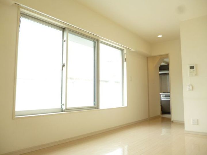 東京都港区南麻布4(マンション)の賃貸物件の居間