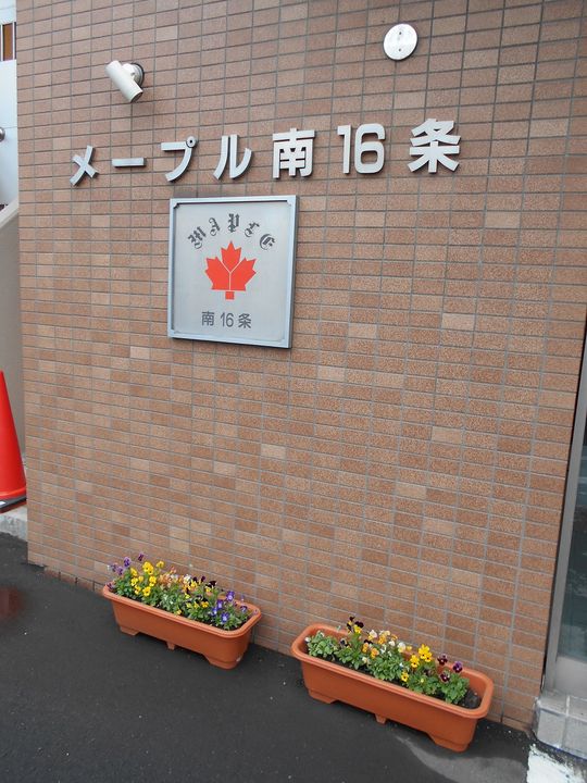 メープル南16条の地図