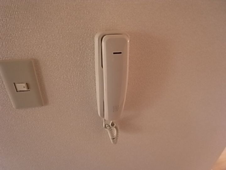 岡山県倉敷市松島(一戸建)の賃貸物件の内装