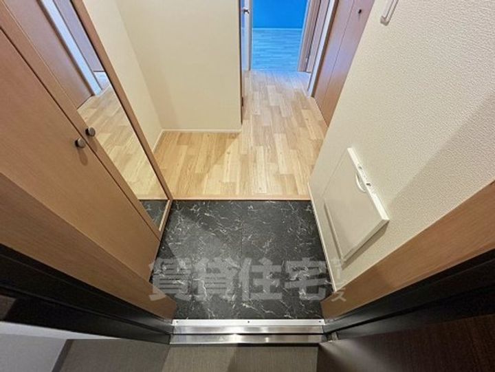 大阪府東大阪市川田1(アパート)の賃貸物件の玄関