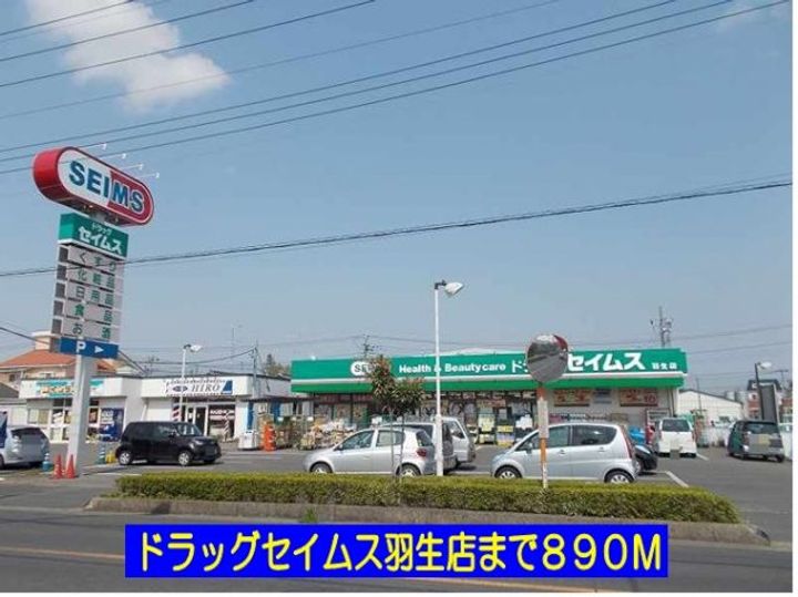 フルハウスAの周辺