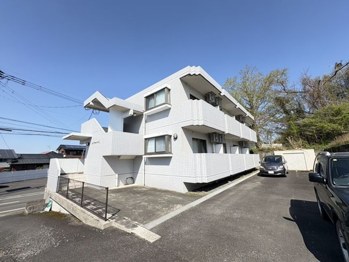 ロイヤルパレス1の外観