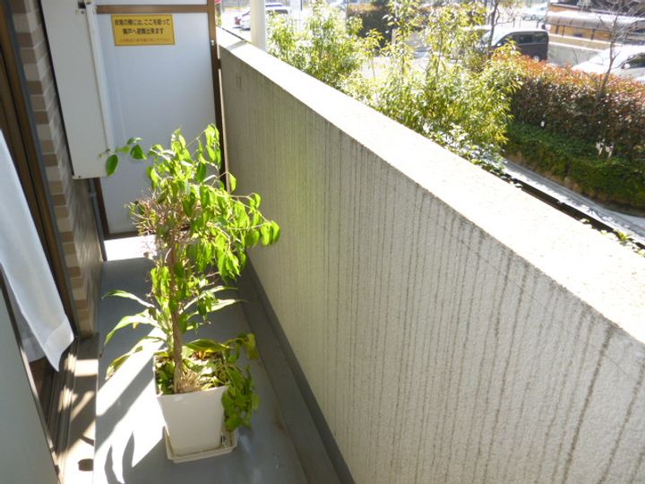 千葉県柏市南柏2(マンション)の賃貸物件の内装