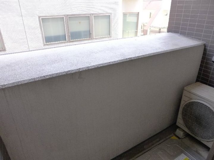 東京都文京区関口1(マンション)の賃貸物件の内装