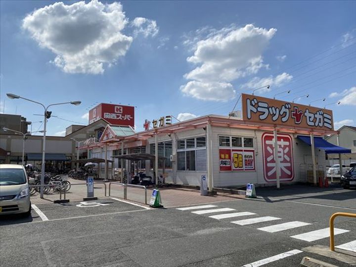 大阪府八尾市西山本町6(一戸建)の賃貸物件の周辺