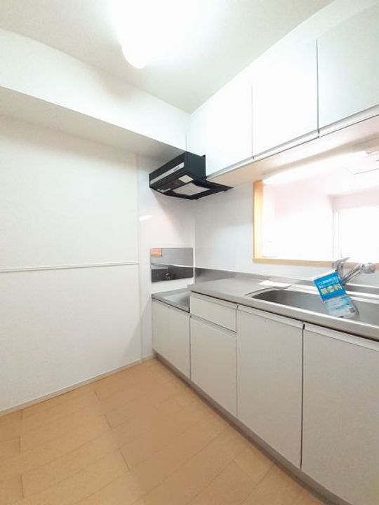 栃木県佐野市堀米町(アパート)の賃貸物件のキッチン