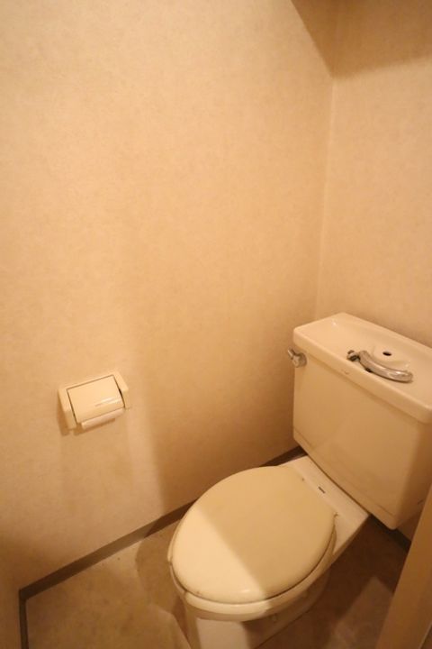 千葉県松戸市新松戸1(マンション)の賃貸物件の内装