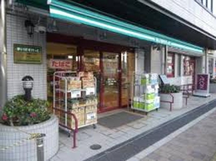 スカイコートパレス西巣鴨の周辺