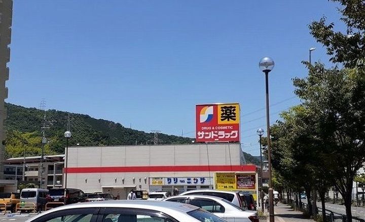 カメリアYIIの周辺