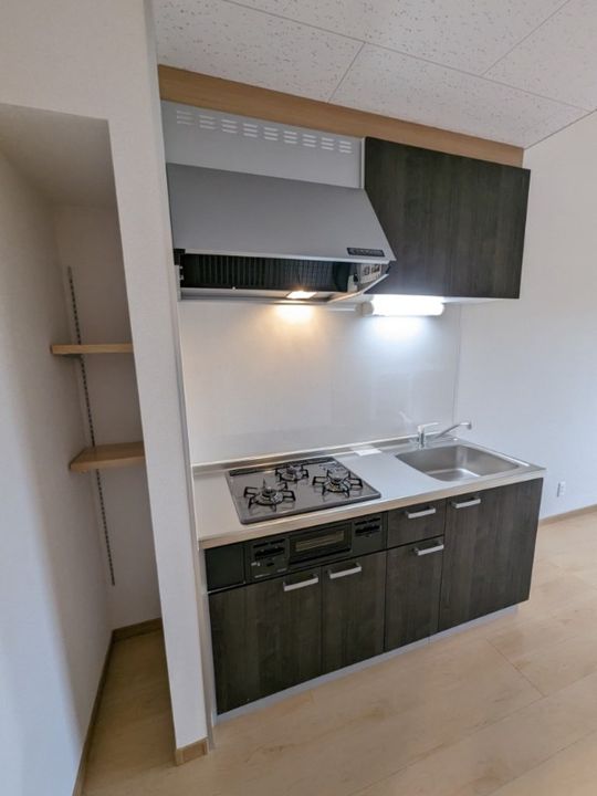 静岡県浜松市浜名区於呂(一戸建)の賃貸物件のキッチン