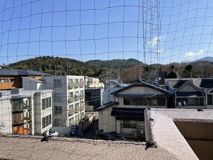 コーポ酒井のその他画像