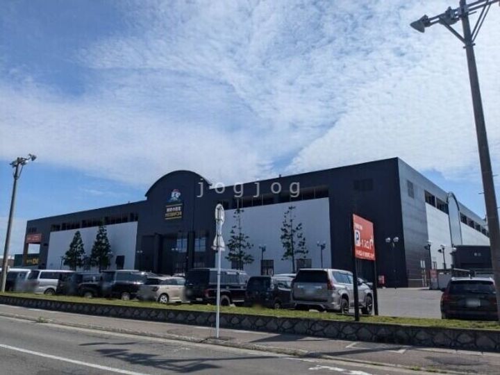 コーポシバタ岡部の周辺